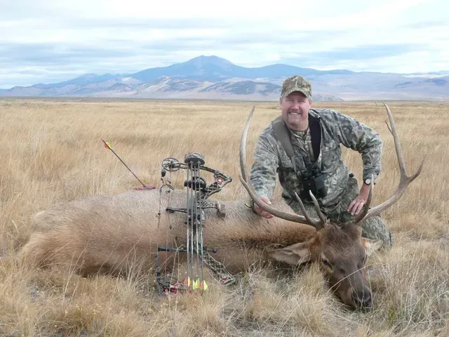 Elk Gallery Image