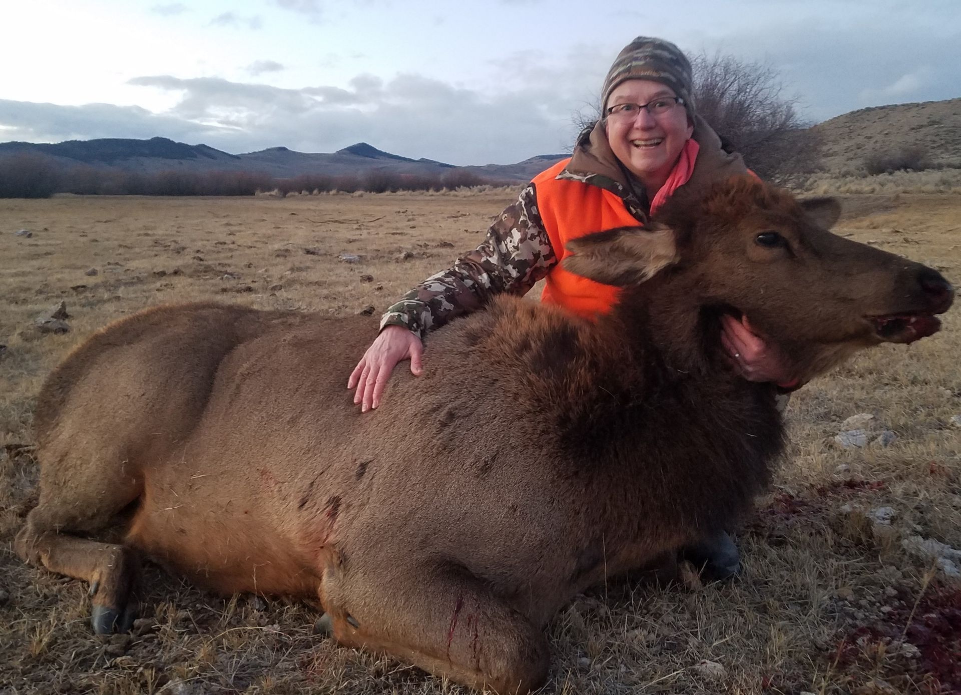 Elk Gallery Image