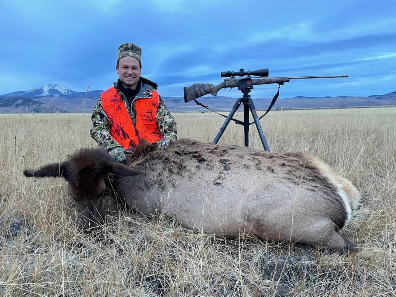 Elk Gallery Image
