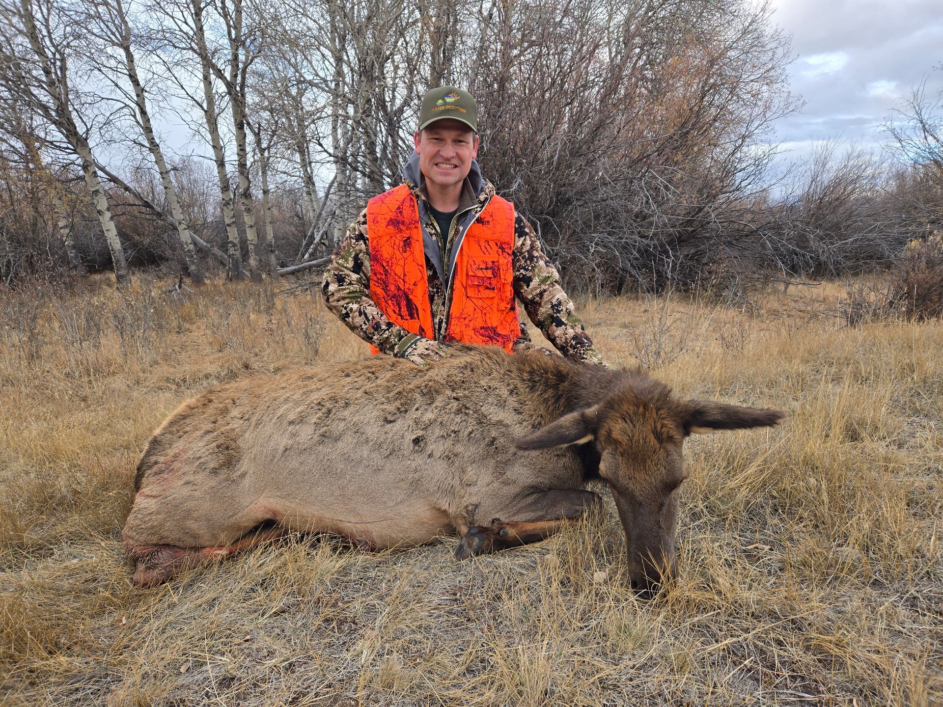 Elk Gallery Image