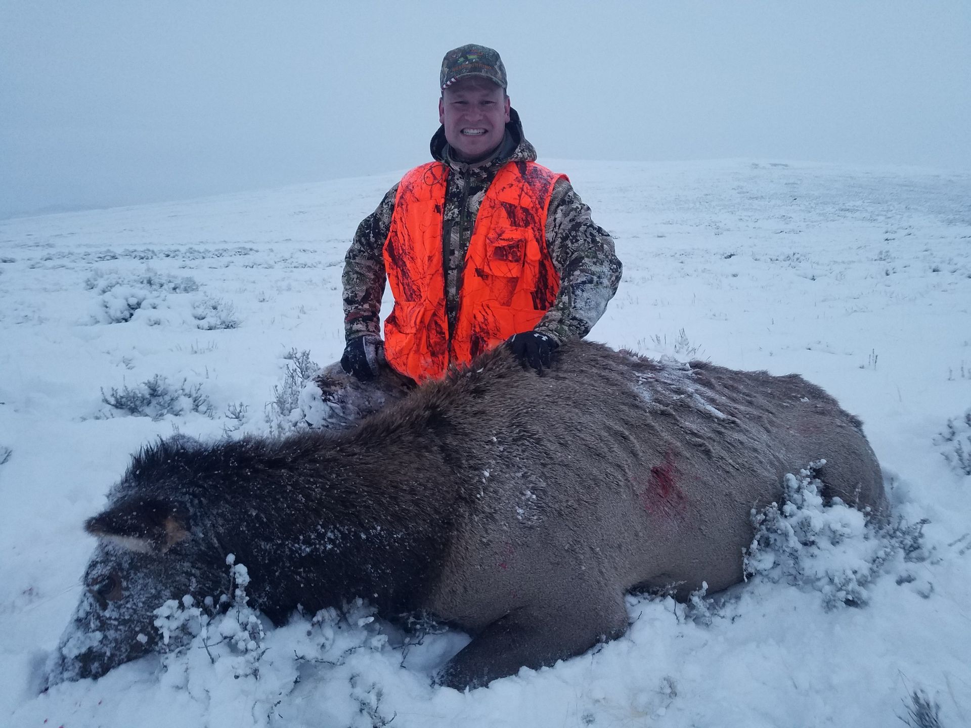 Elk Gallery Image