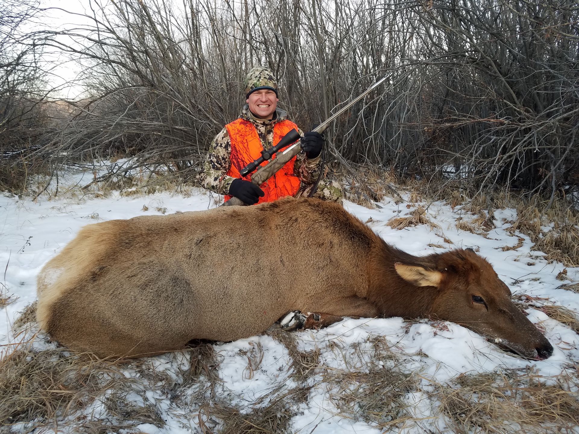 Elk Gallery Image