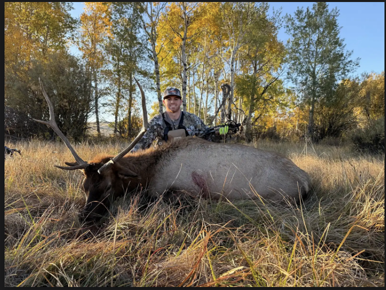 Elk Gallery Image