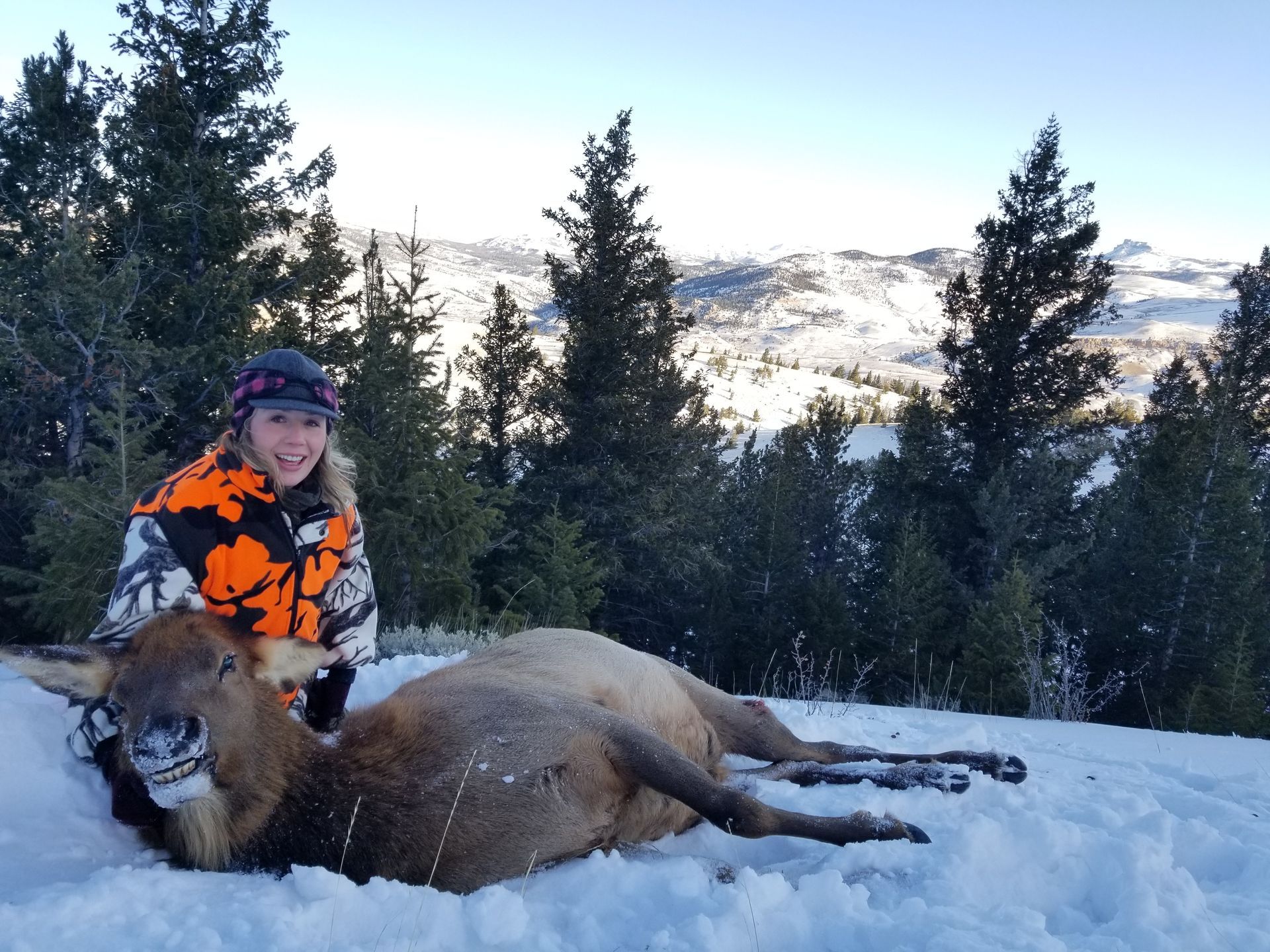 Elk Gallery Image