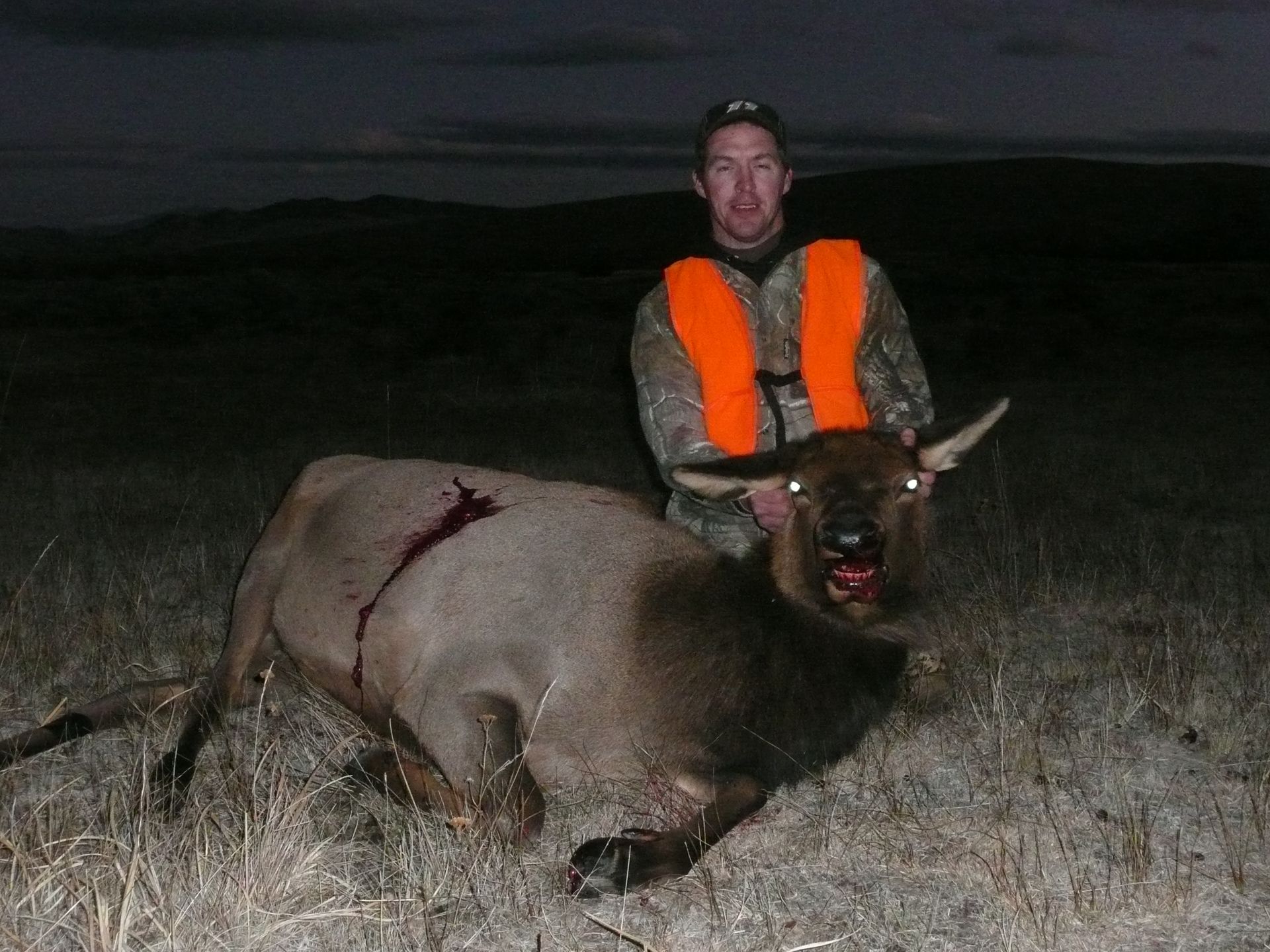 Elk Gallery Image
