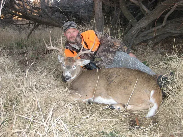 deer hunting