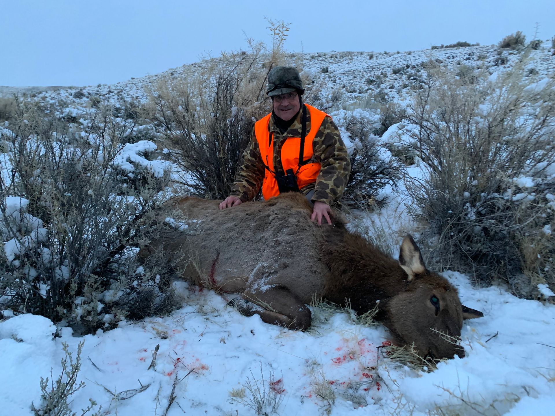 Elk Gallery Image