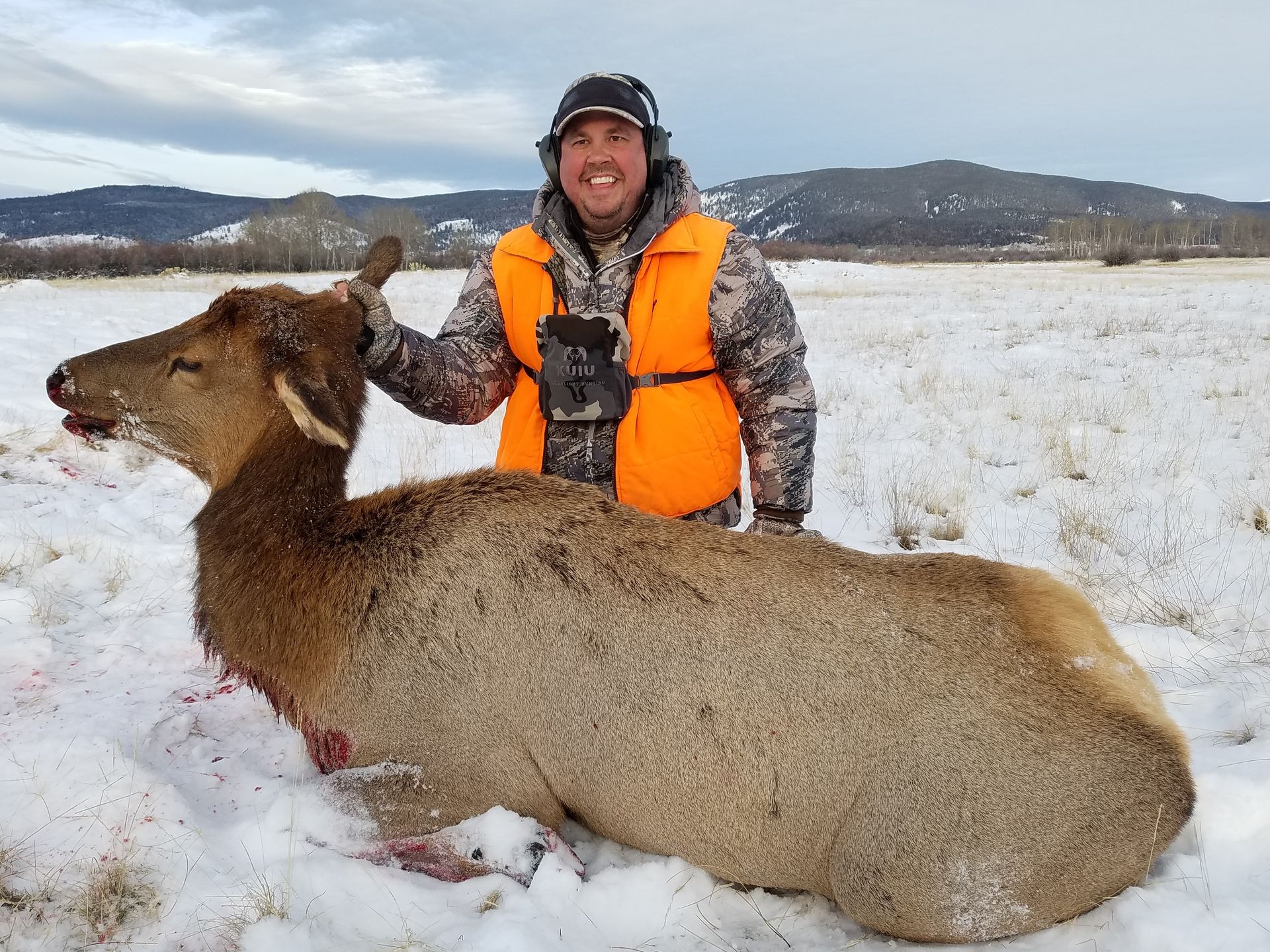 Elk Gallery Image