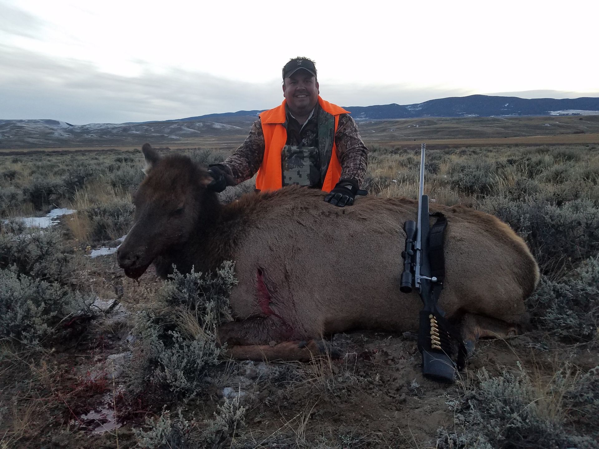 Elk Gallery Image