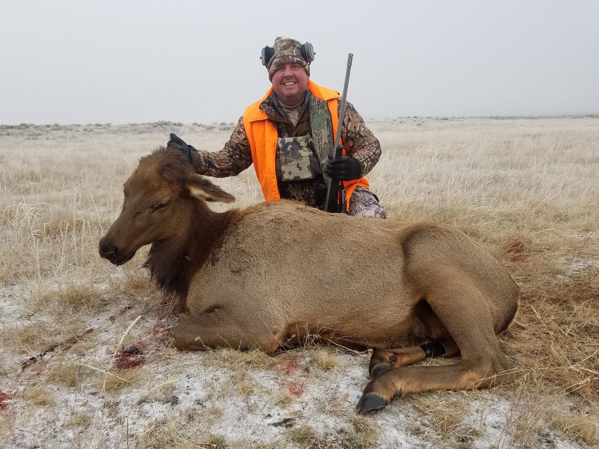Elk Gallery Image