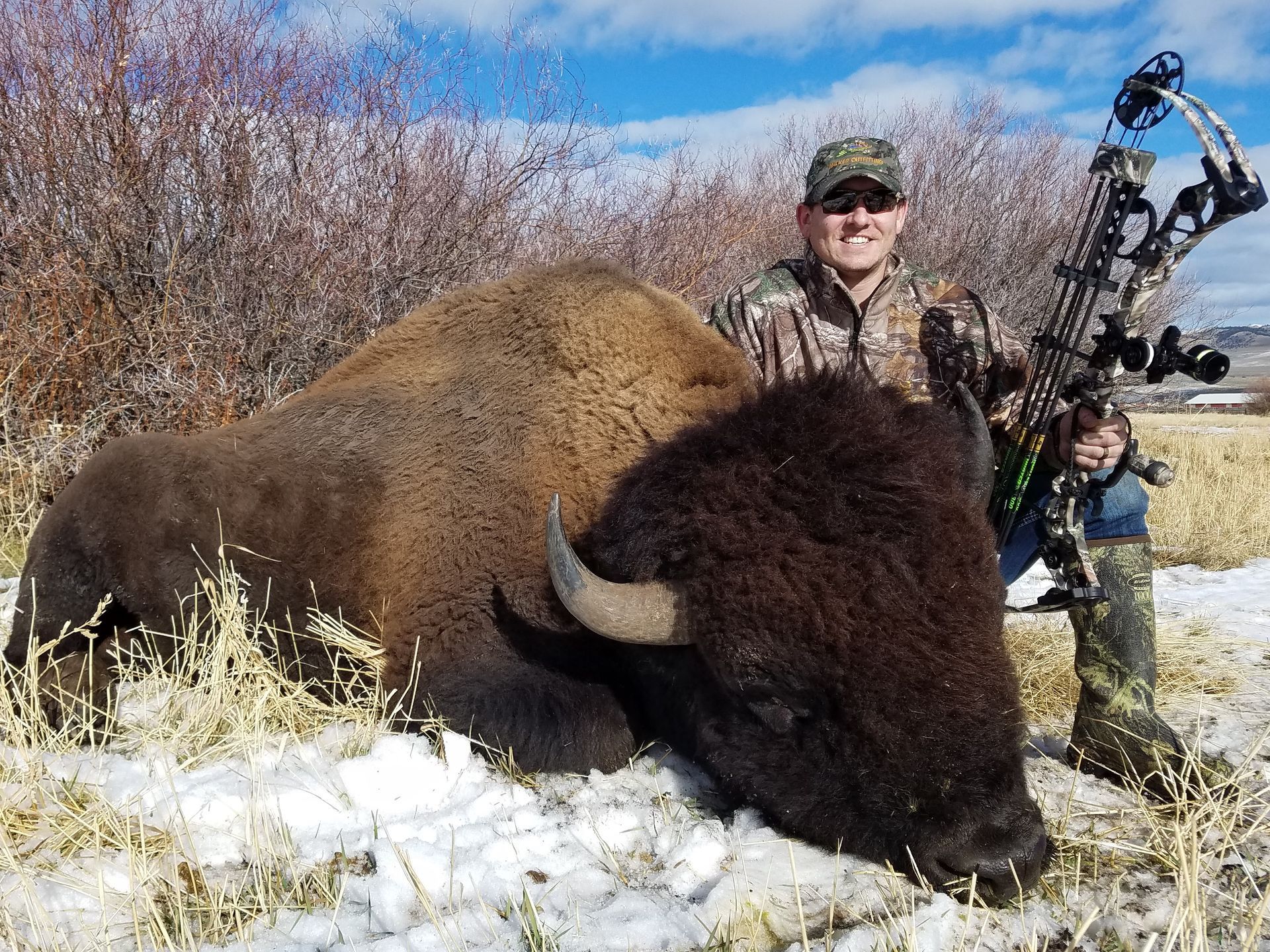 Elk Gallery Image