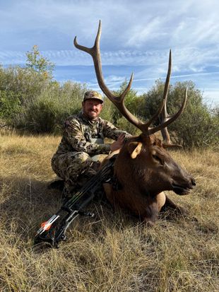 Elk