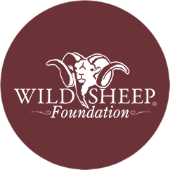 WSF