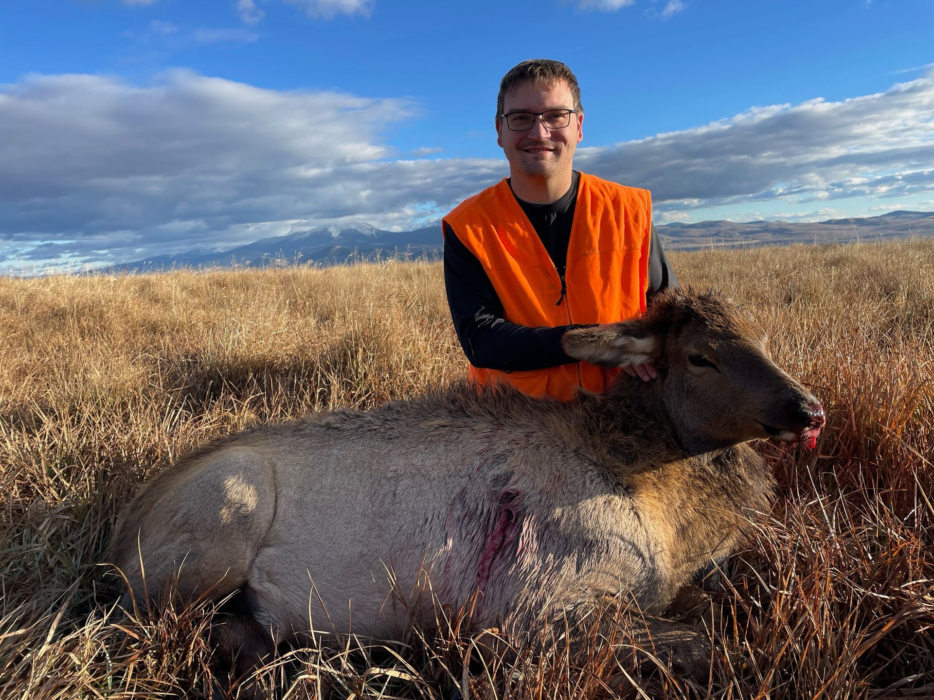 Elk Gallery Image