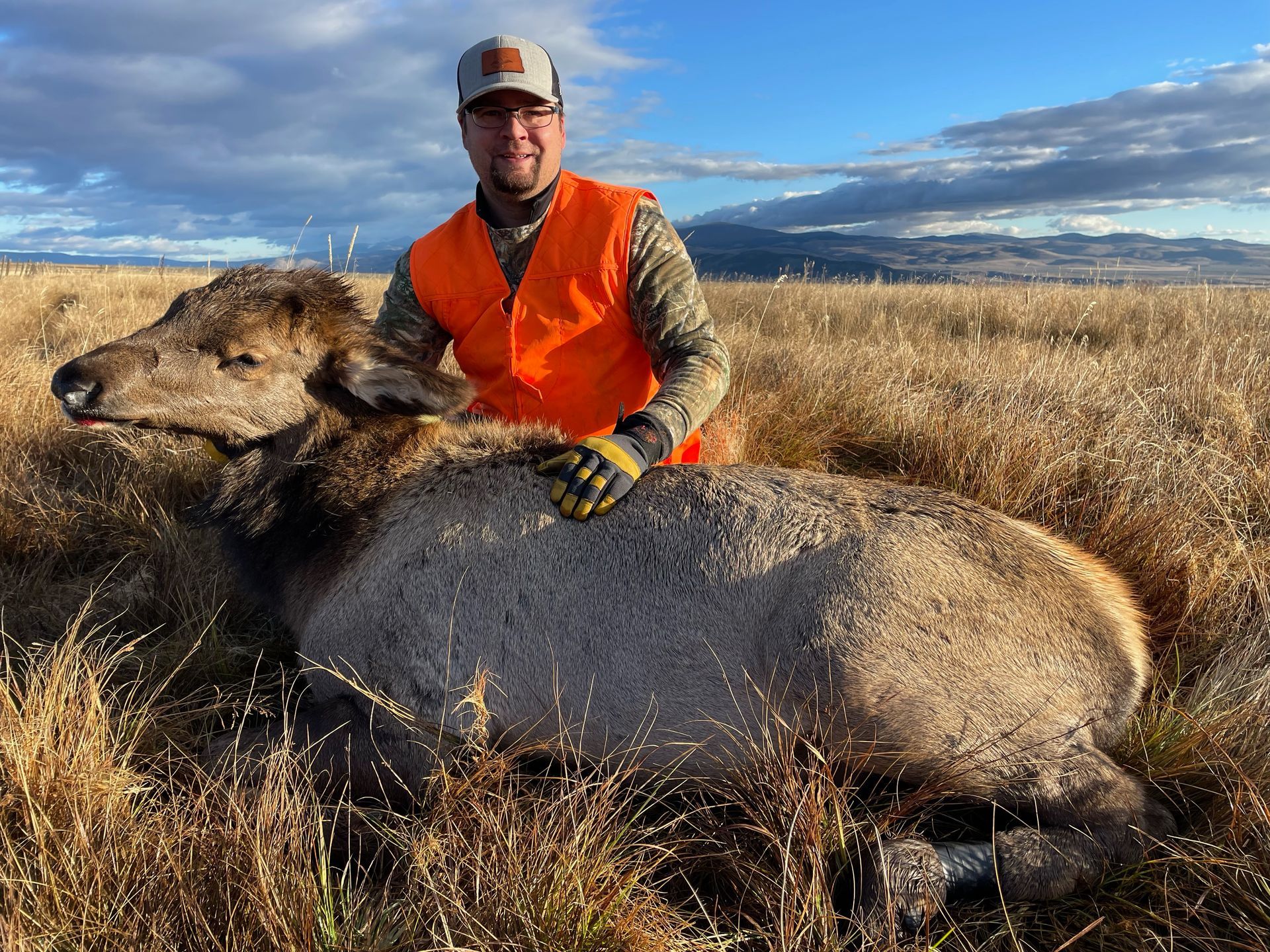 Elk Gallery Image