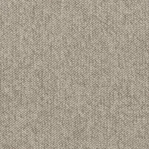 Genesis - Jacobsen Nylon Carpet