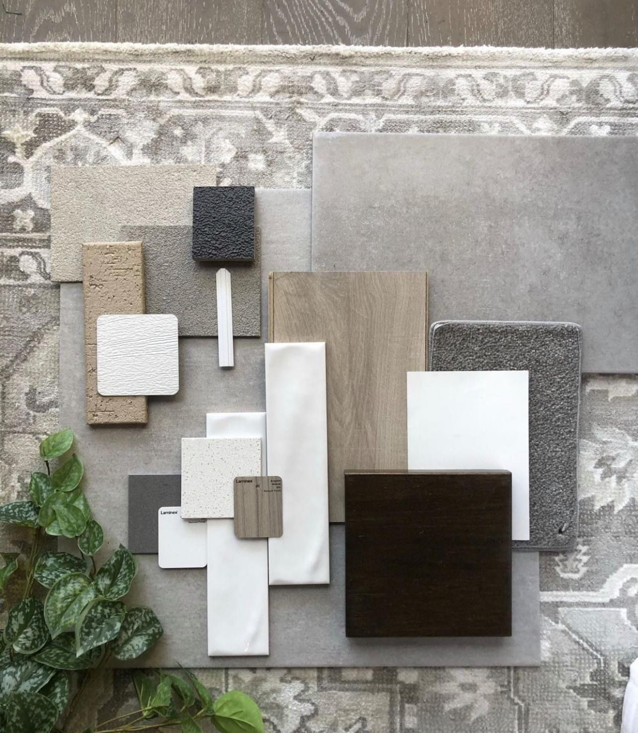 Colour design inspirations for Floorpride Marlborough