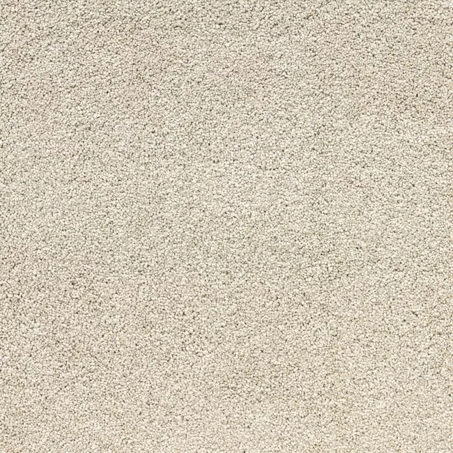 Regal Park - Jacobsen Nylon Carpet
