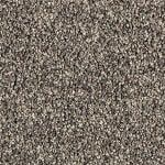 Detroit - Godfrey Hirst Nylon Carpet