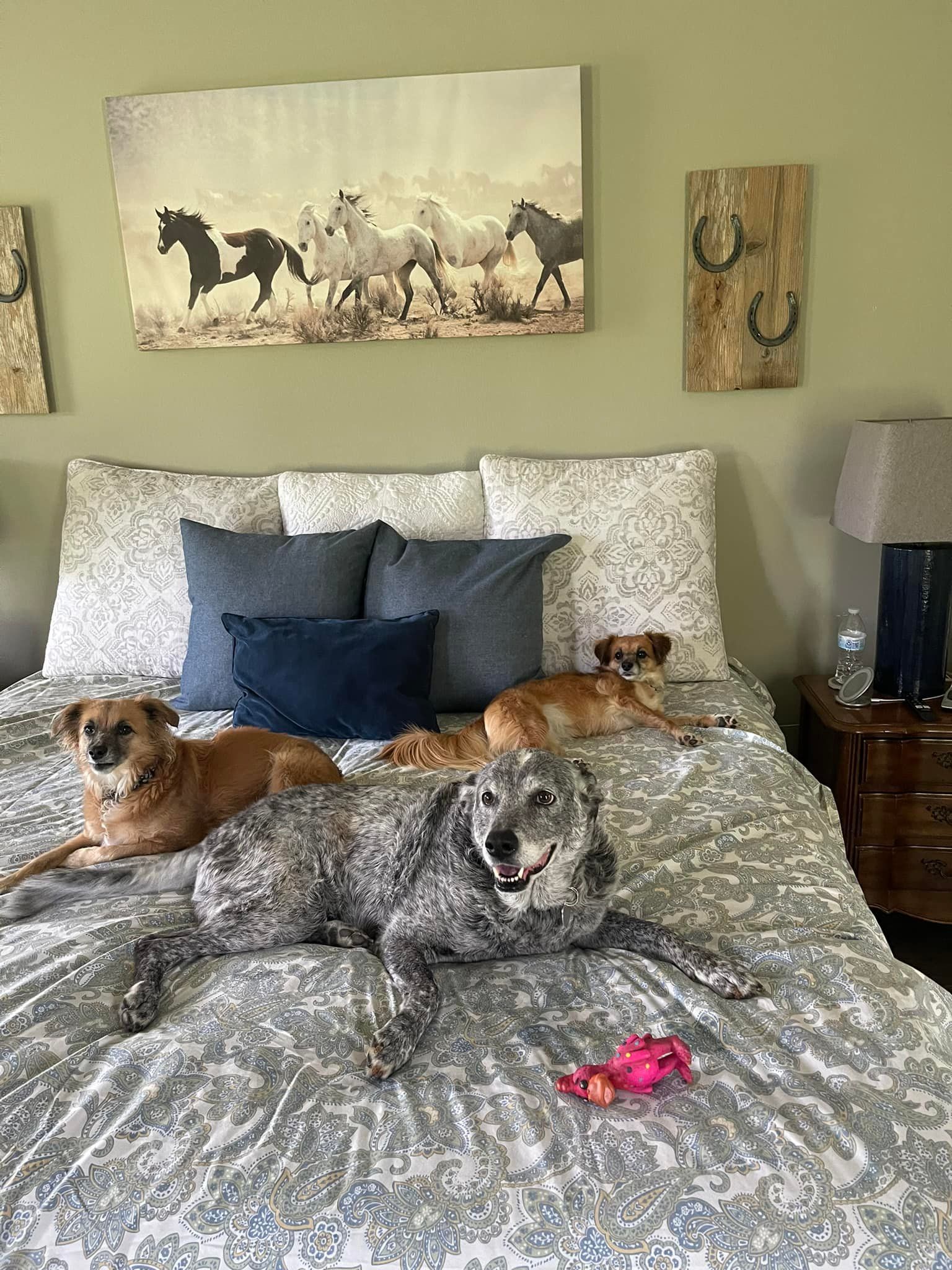Three dogs lounging on a bed, with horse painting and decor on wall.