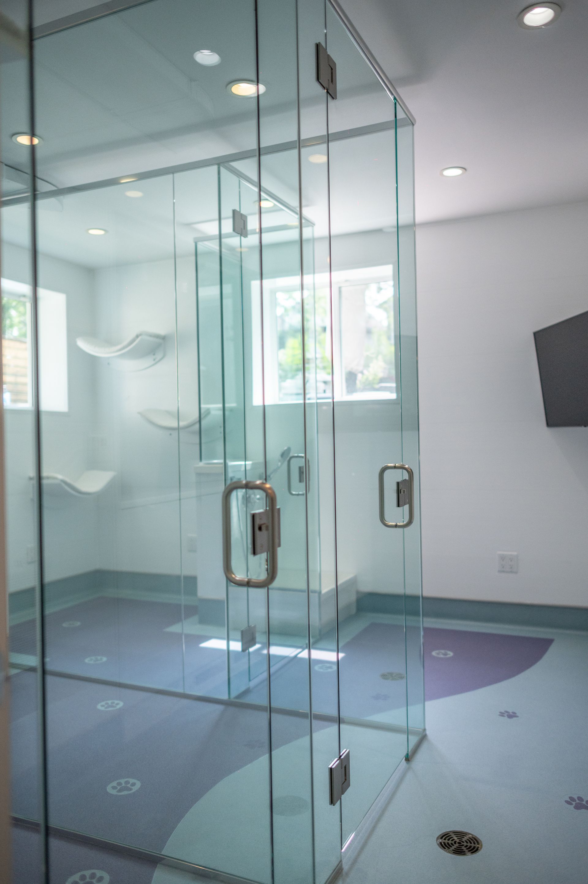 Glass-enclosed room, interior view. Features a clear glass shower area with a doorway. White walls, light blue floor with patterns, and a window.