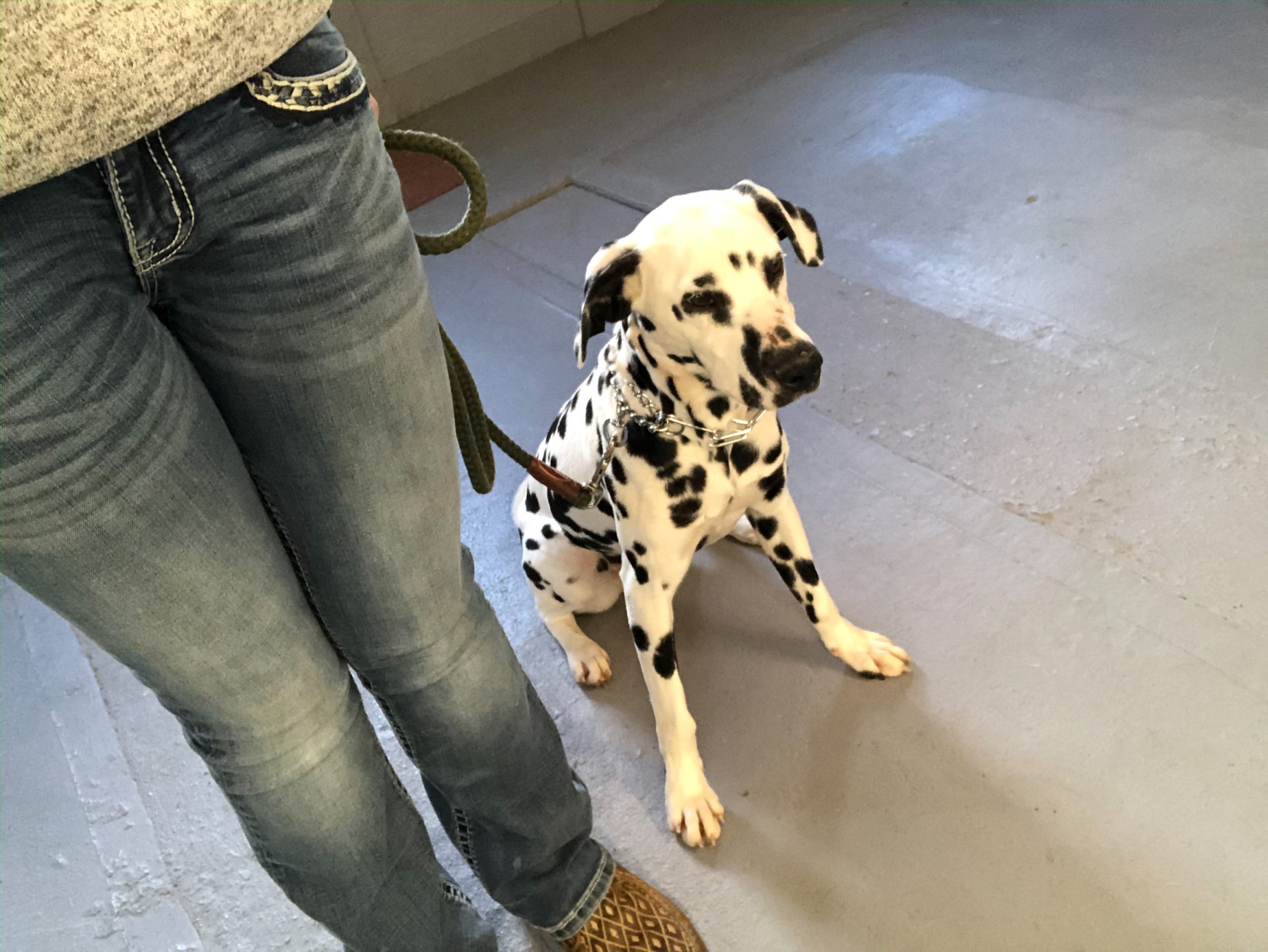 River Retriever Kennels Boarding, Daycare, Training Paducah, KY