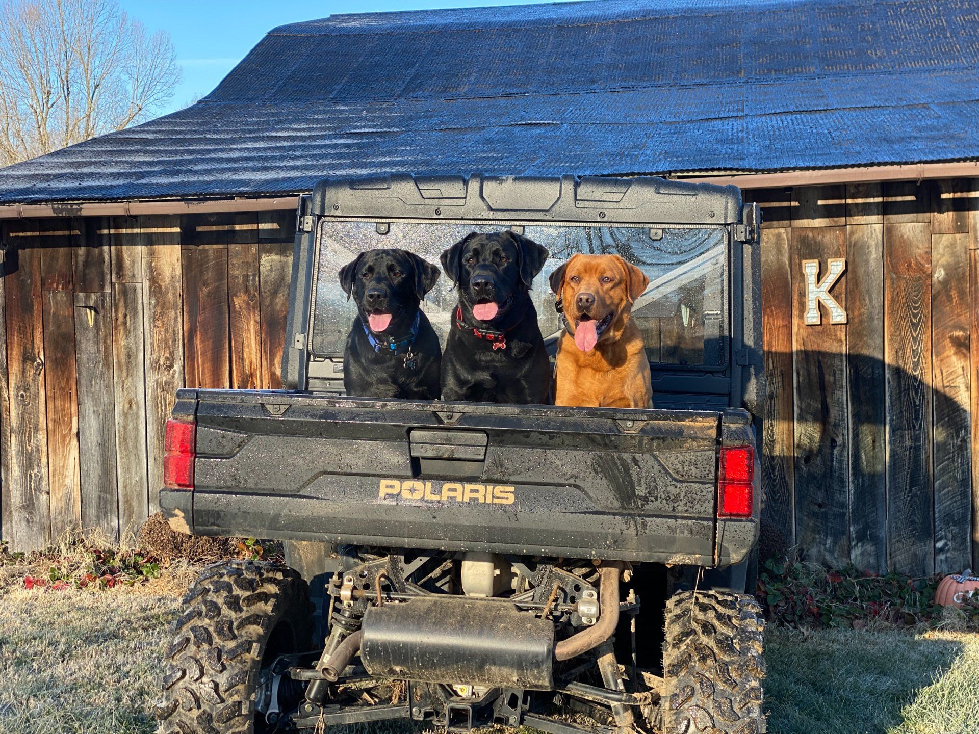 Fun Activities at River Retriever Kennels