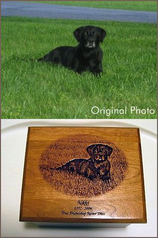A black dog is laying in the grass next to a wooden box.