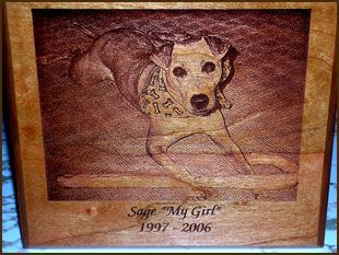 A picture of a dog with the name sage on it