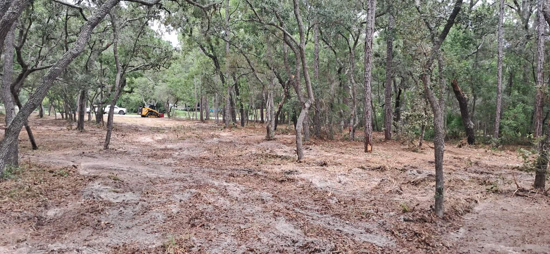 Wooded dirt path with scattered leaves and trees; a person on an orange ATV in the distance