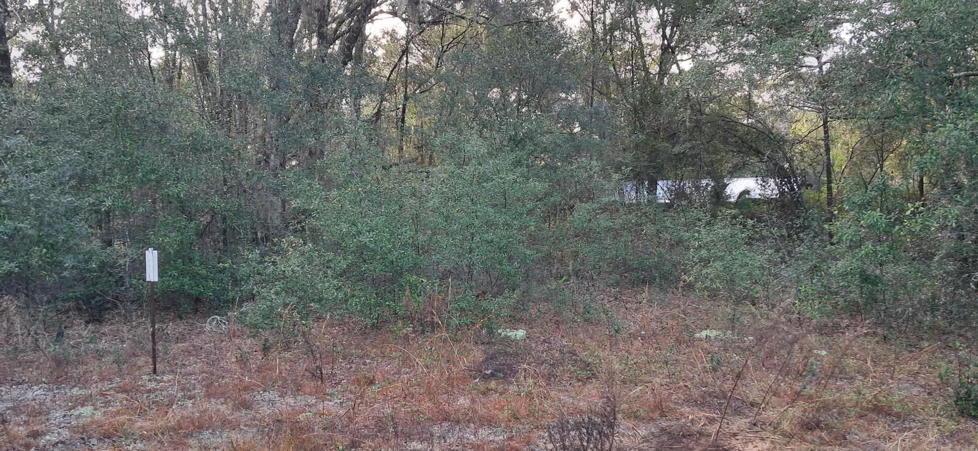 Green bushes and trees in a field with a small white marker, and a blurred white object in the background.