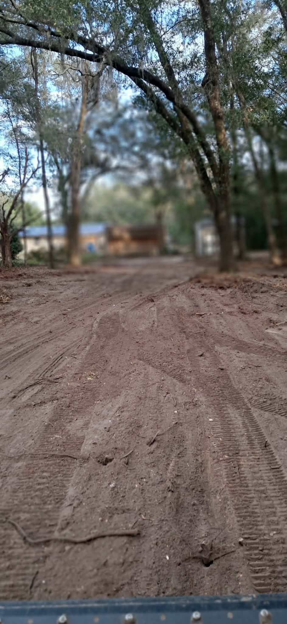 Dirt road under arching trees, with a blurred building in the distance.