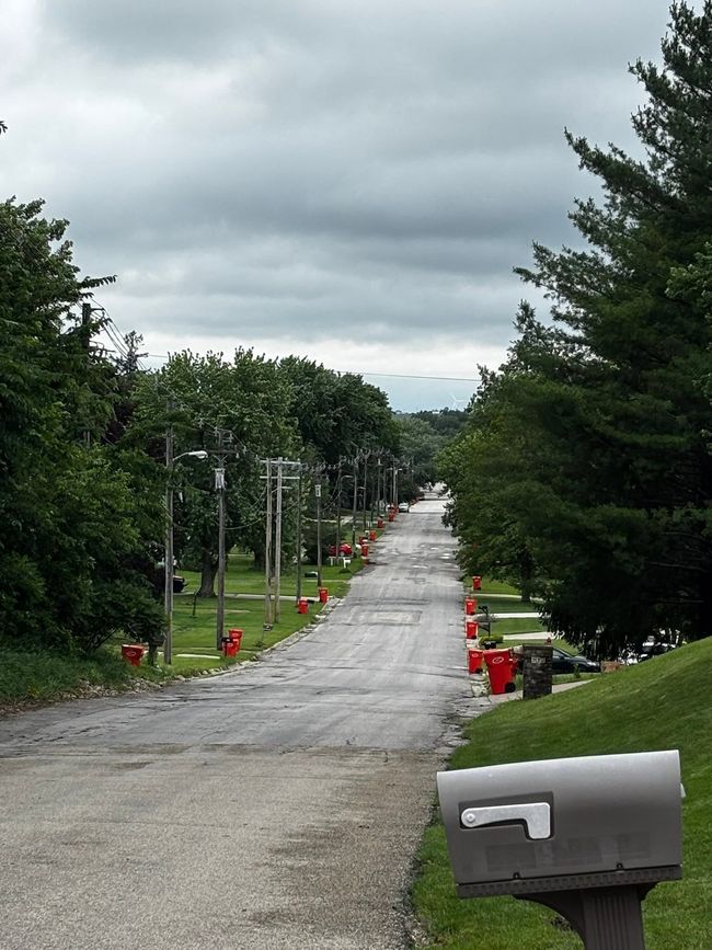 Gravel road lined with trees and orange cones under cloudy sky, seen from a mailbox in the foreground