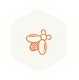 allevamento api