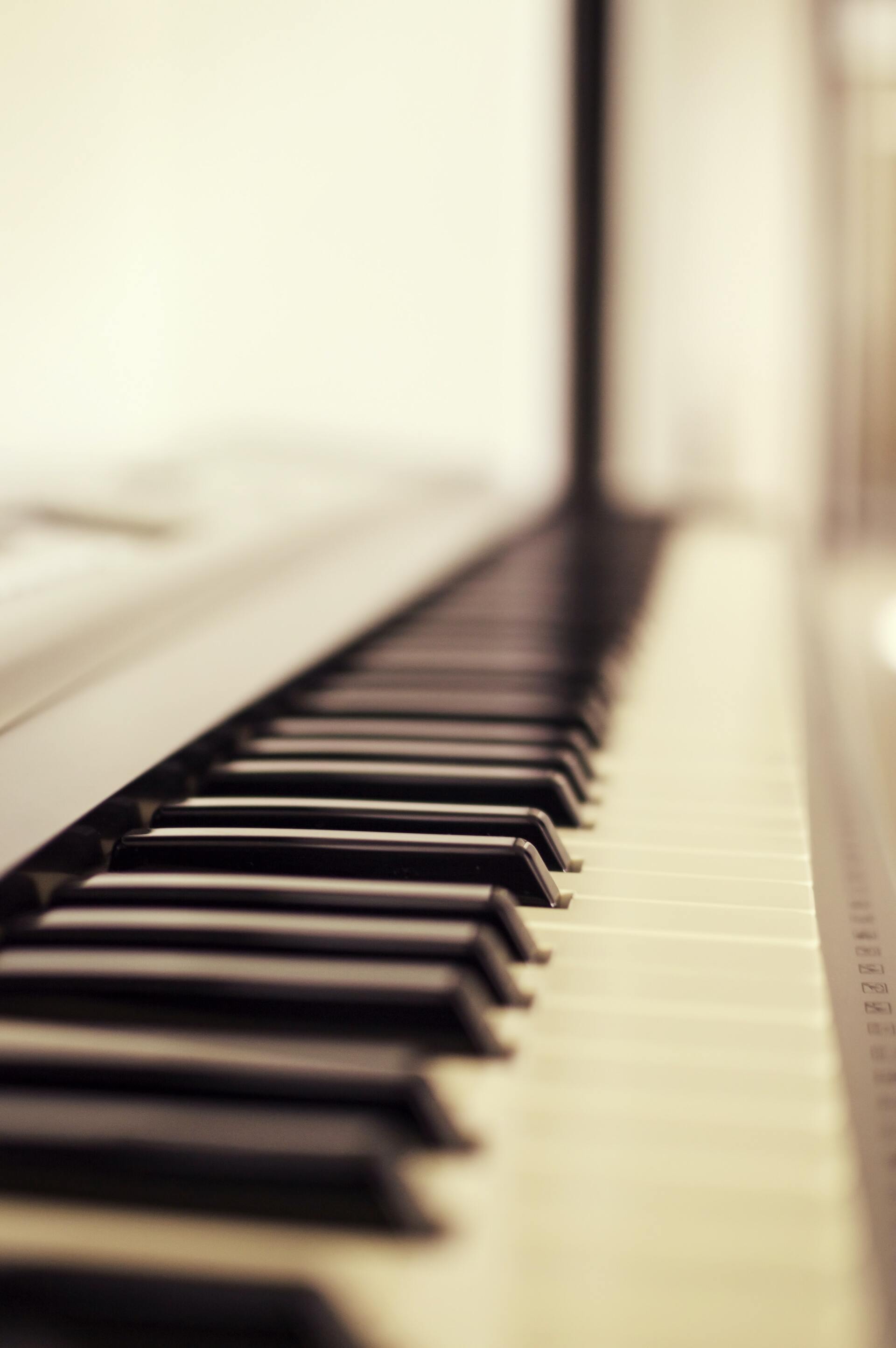 a close up of a piano keyboard with a white background