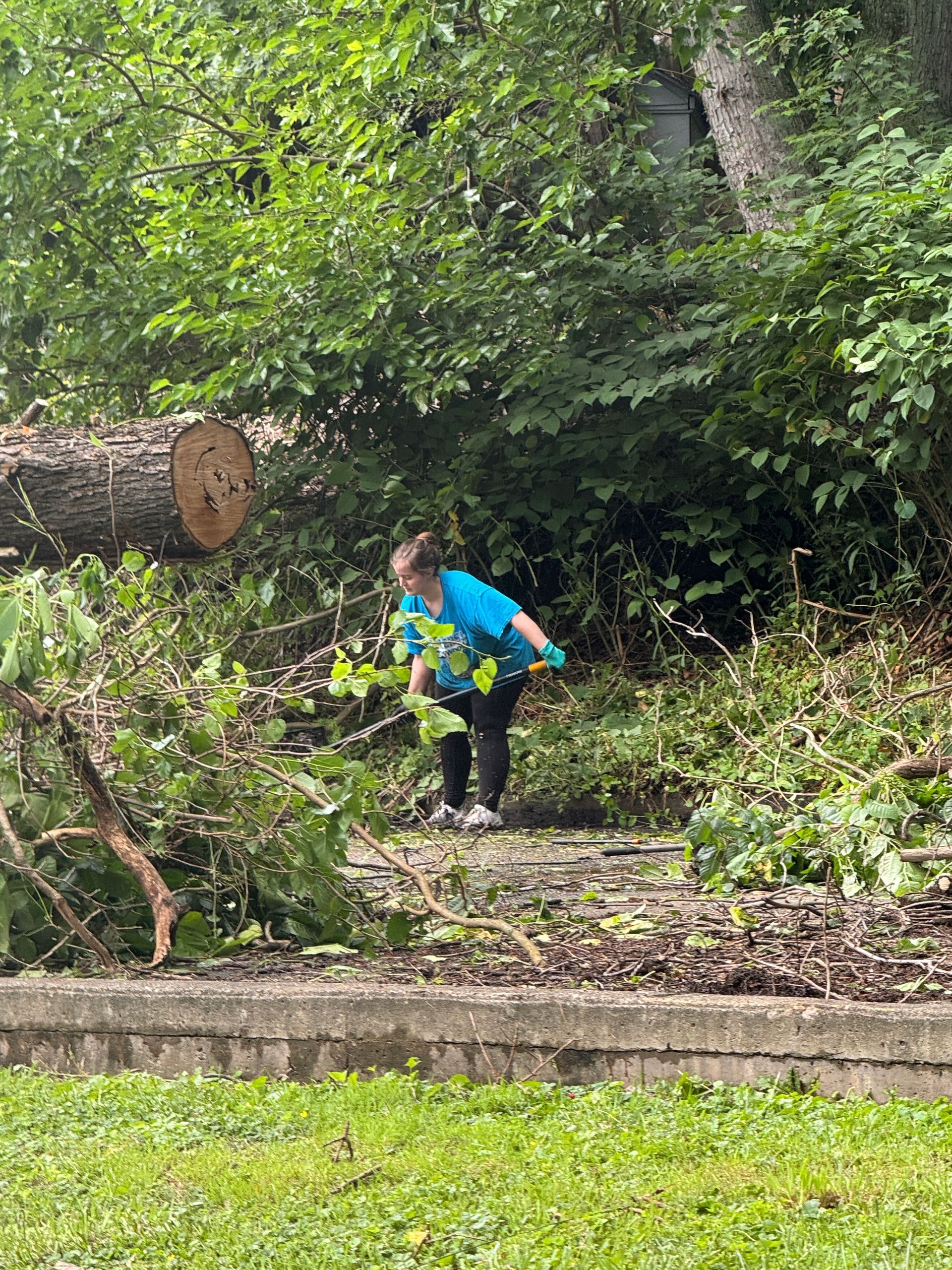 Person in a blue shirt clearing branches in a wooded area beside a lawn.