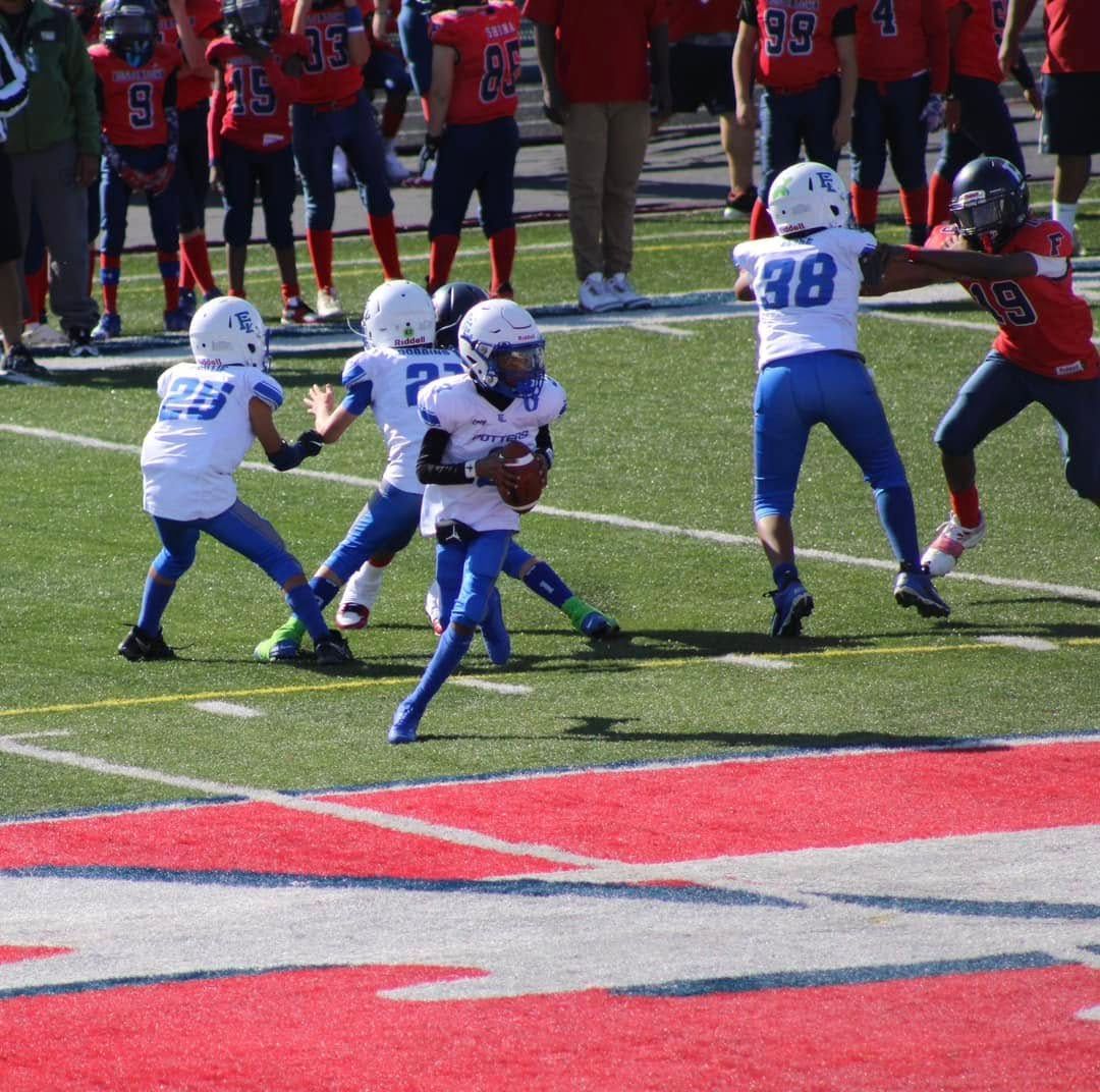 Youth football players in white and blue protect the quarterback as he prepares to pass the football during a game