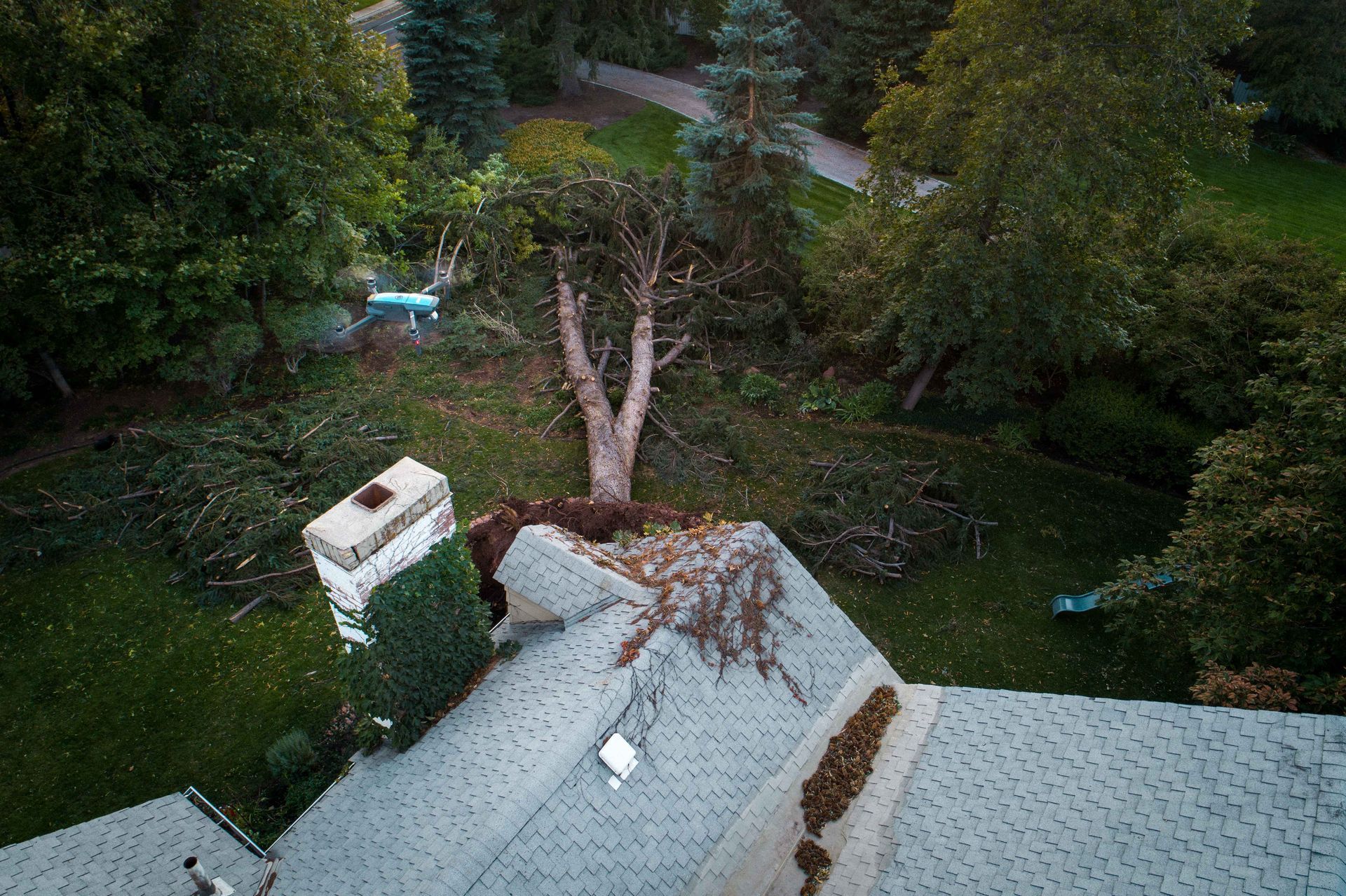 An aerial view of a roof with a tree fallen on it.