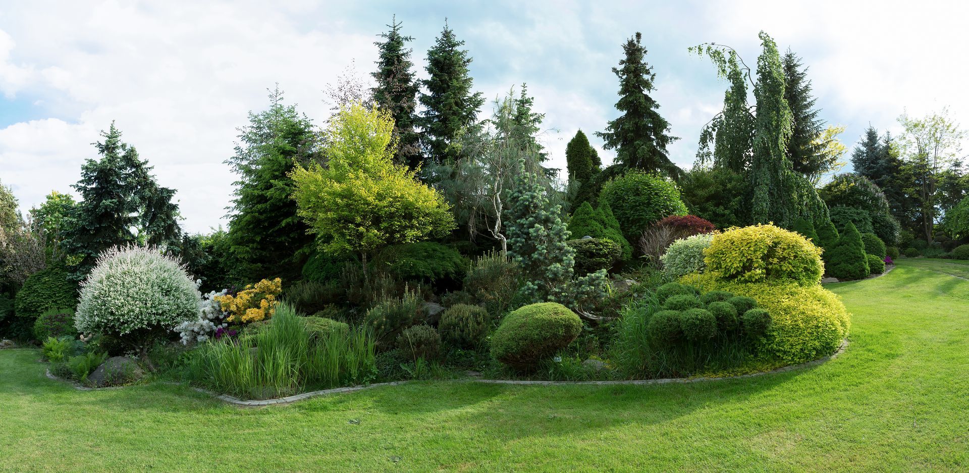 Lush landscaped garden with evergreen shrubs, flowering bushes, and a grassy lawn on a bright day Lush landscaped garden with evergreen shrubs, flowering bushes, and a grassy lawn on a bright day