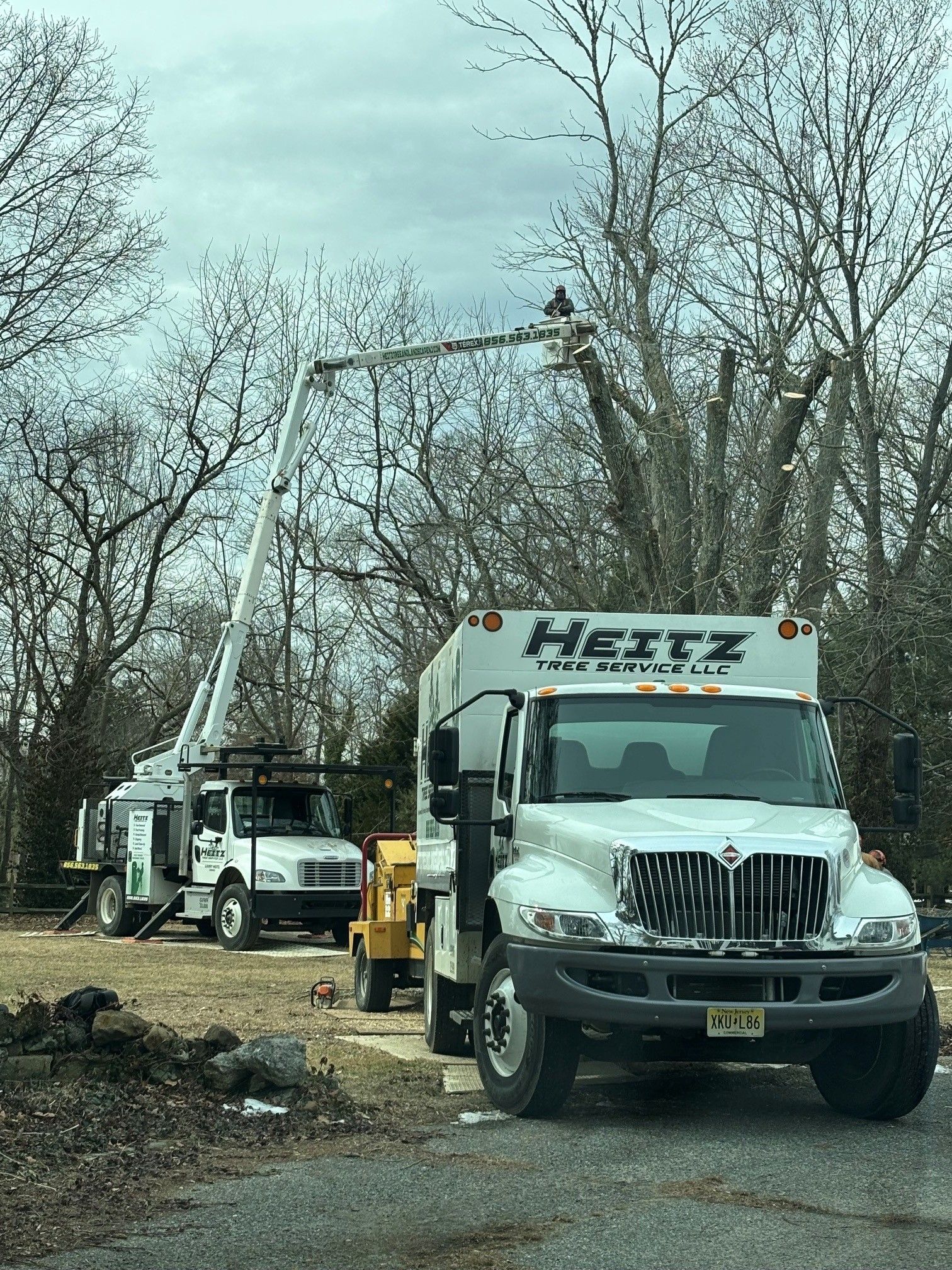 Utility trucks and a crane working on a roadside among bare trees.