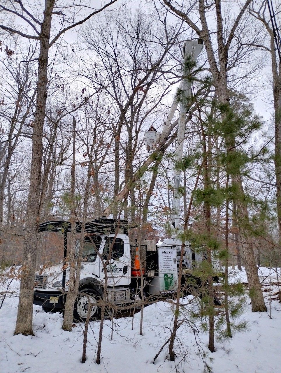 White truck parked in snowy woods beside utility equipment and bare trees White truck parked in snowy woods beside utility equipment and bare trees
