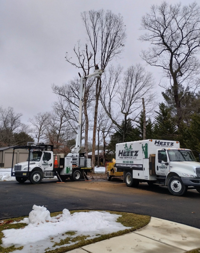 Moving trucks parked on a wet street beside snow and bare trees under a gray sky.