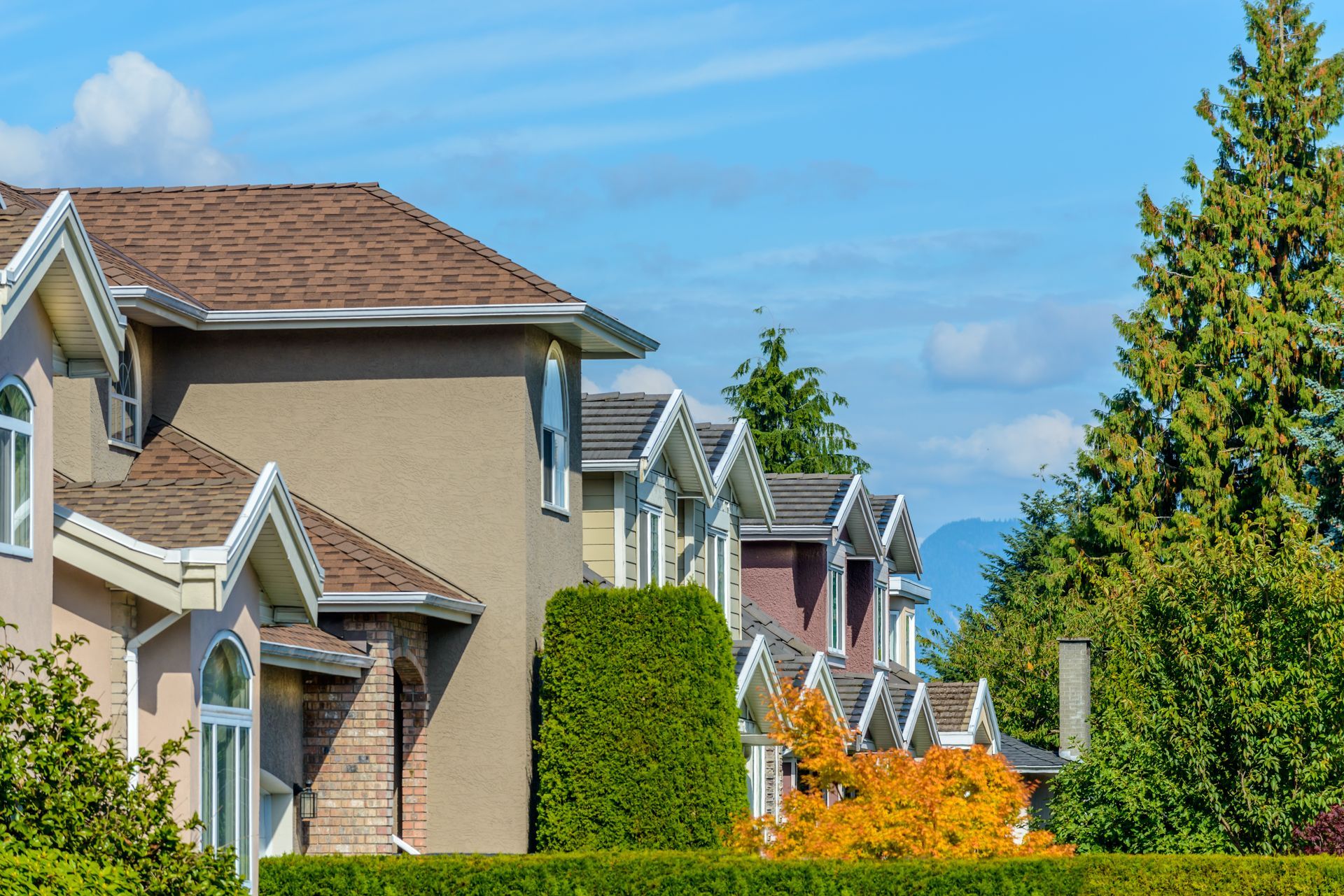 Suburban houses with tan roofs and green hedges under a blue sky