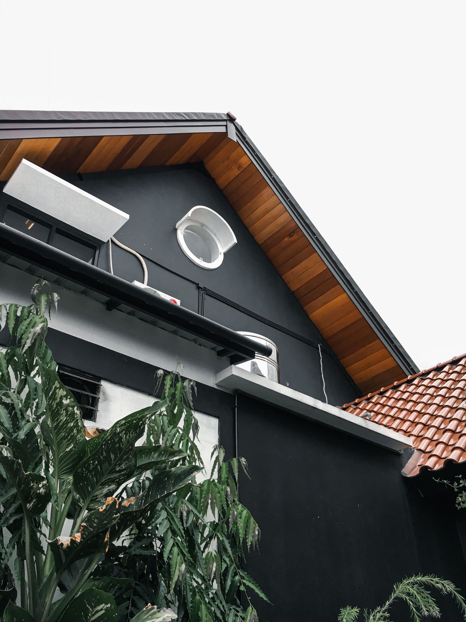 Modern building facade with black wall, wood roof trim, and leafy tree in front