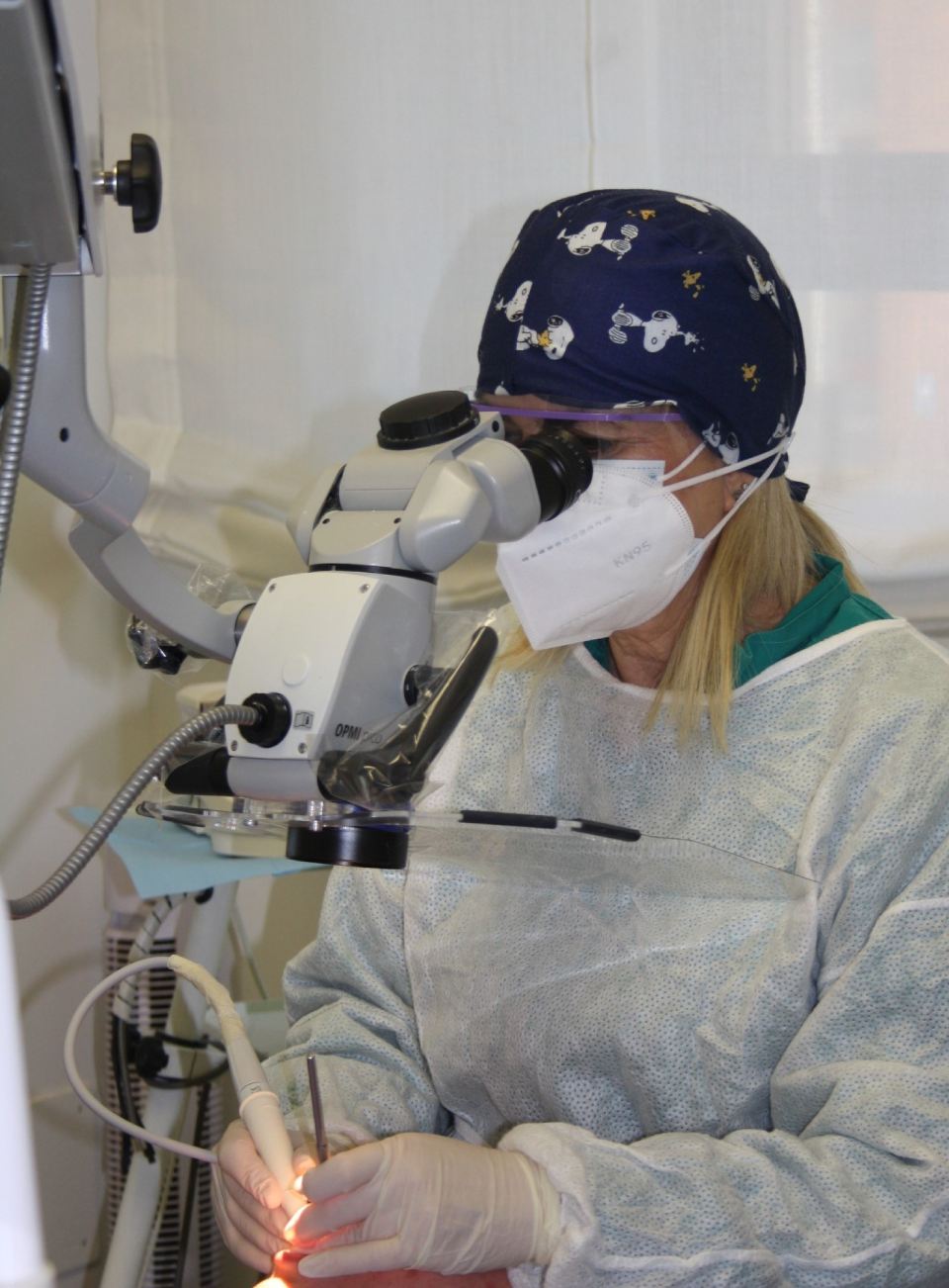 Electronic microscope