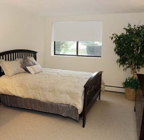 Bedroom with a dark wood bed, white bedding, window, and potted plant on carpeted floor