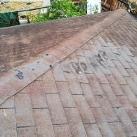 A close-up of a weathered, brown asphalt shingle roof showing dark staining and a seam with visible nail heads.
