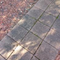 A close-up of square grey pavers forming a path, bordered by a patch of dry, reddish-brown wood mulch.