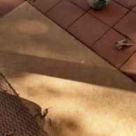 A sunlight-illuminated walkway meeting red brick patio tiles, with a partial view of a textured brown mat in the corner.