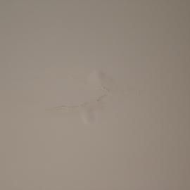 A pale, light-colored ceiling with a small, jagged crack and slight bubbling in the plaster.